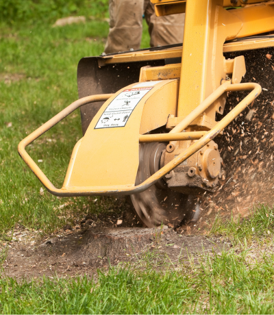 Oklahoma City Stump Removal