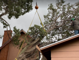 Oklahoma City Tree On House Storm Damage