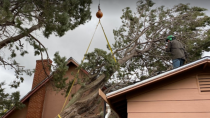 Oklahoma City Tree On House Storm Damage