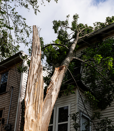 Storm Cleanup