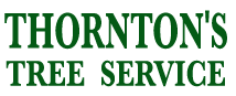 https://thorntonstreeserviceokc.com/wp-content/uploads/2024/01/cropped-thorntons-tree_service-logo-227-87.png