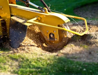 stump removal Oklahoma City