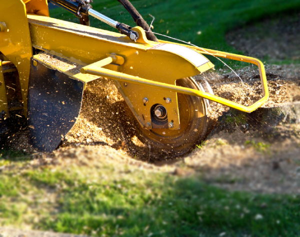 stump removal Oklahoma City